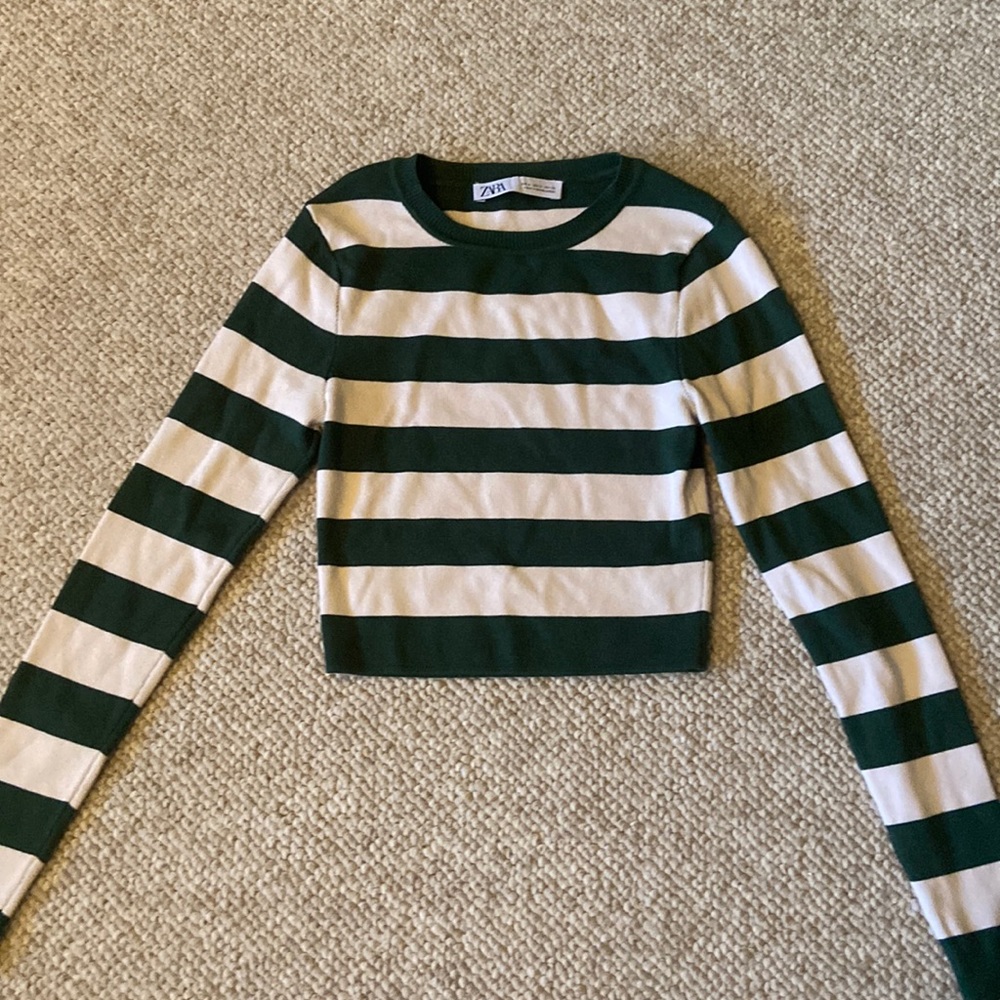 Zara Long Sleeve Crop Top
